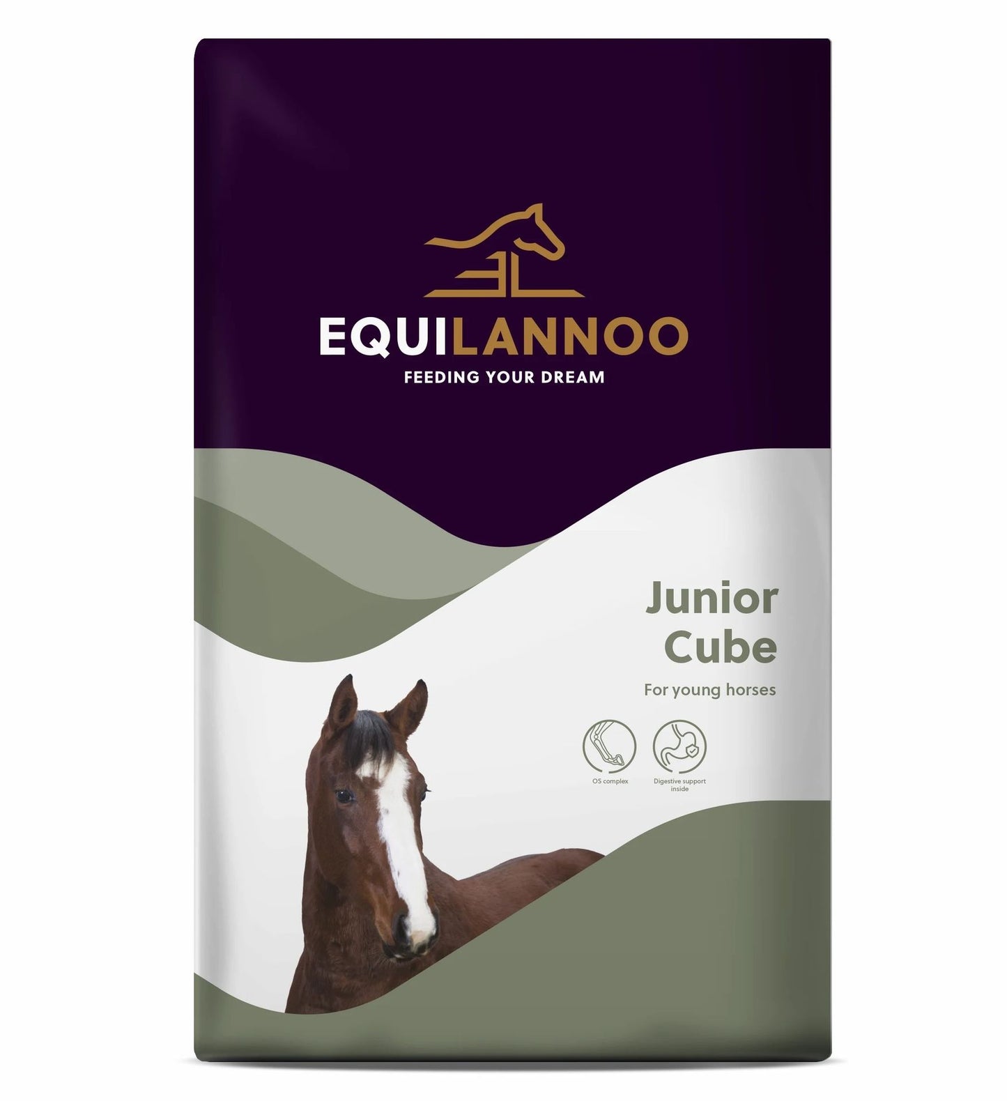 Equilannoo_-_Junior_Cube