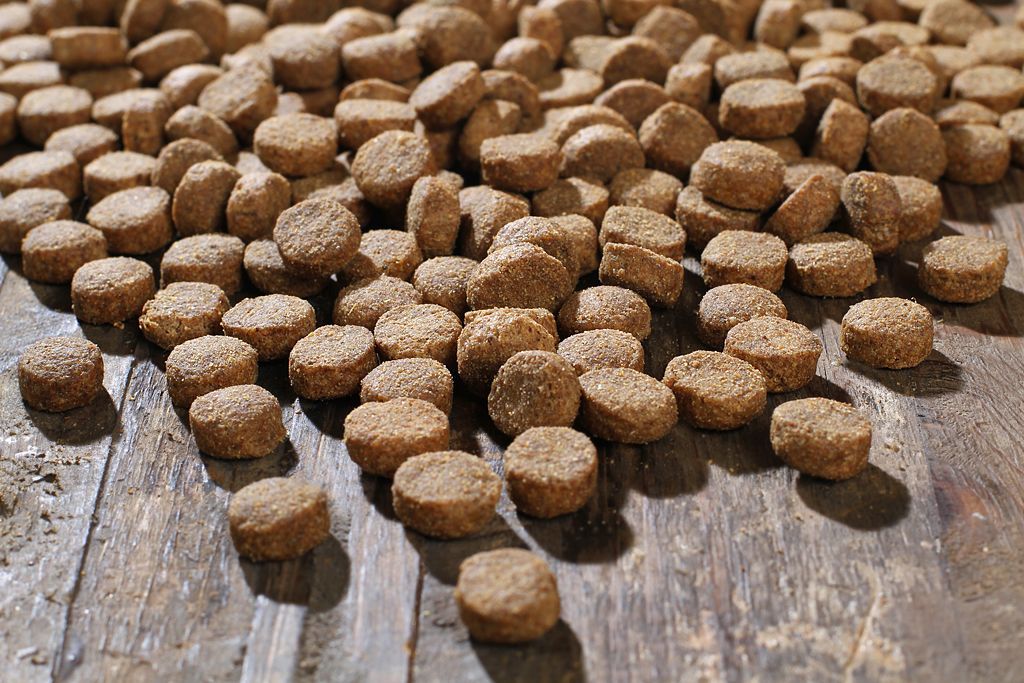 Hundefutter trocken