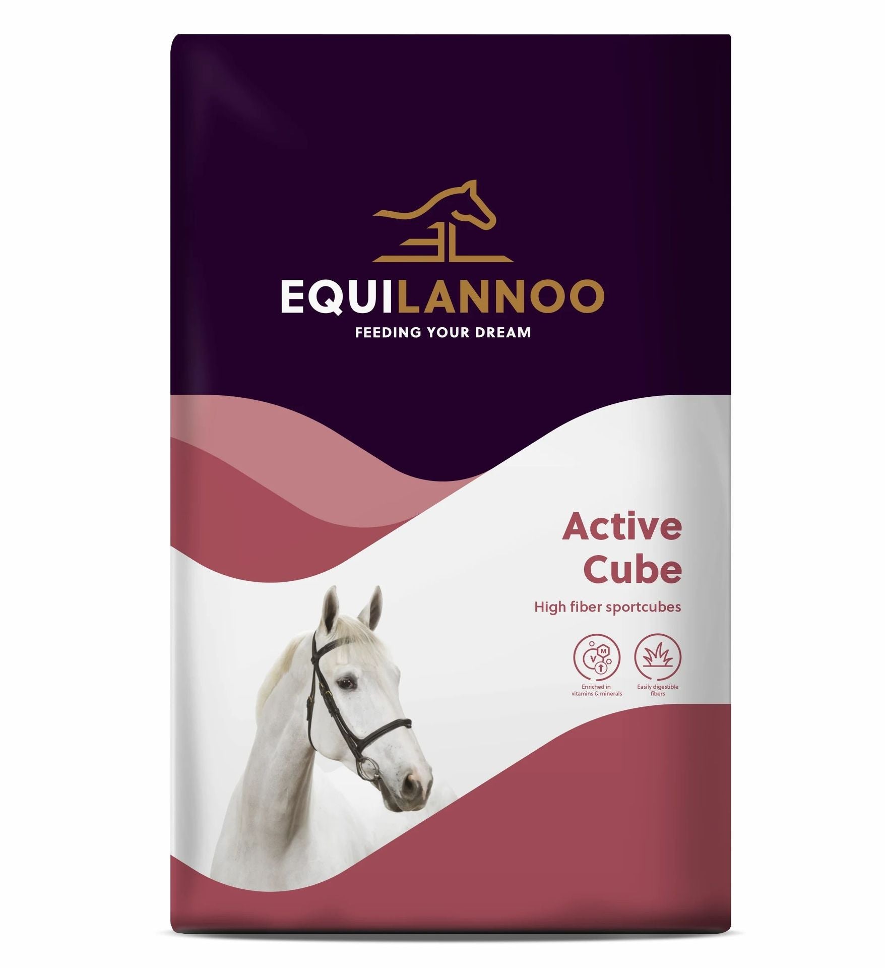 Equilannoo_-_Active_Cube