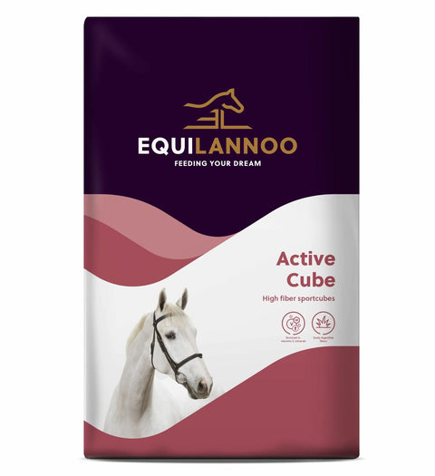 Equilannoo_-_Active_Cube