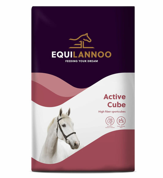 Equilannoo_-_Active_Cube