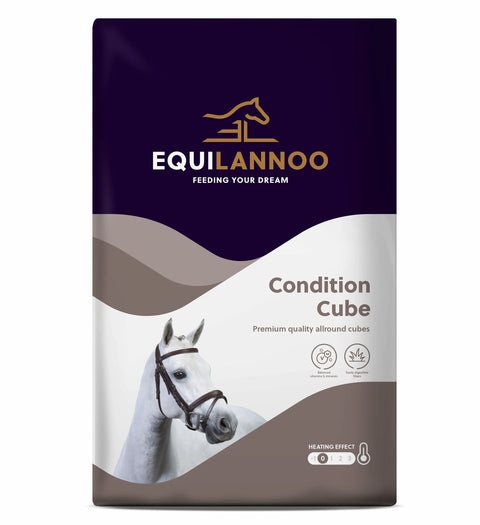 Equilannoo_-_Condition_Cube