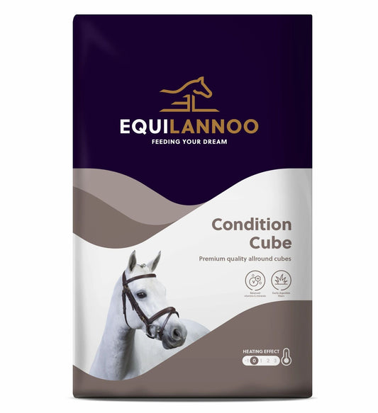 Equilannoo_-_Condition_Cube