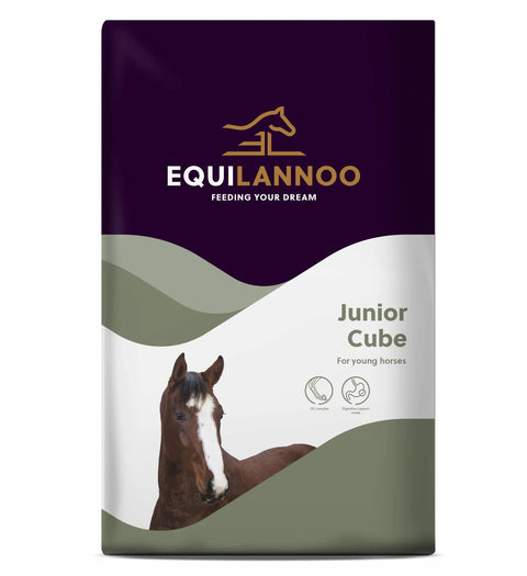 Equilannoo_-_Junior_Cube