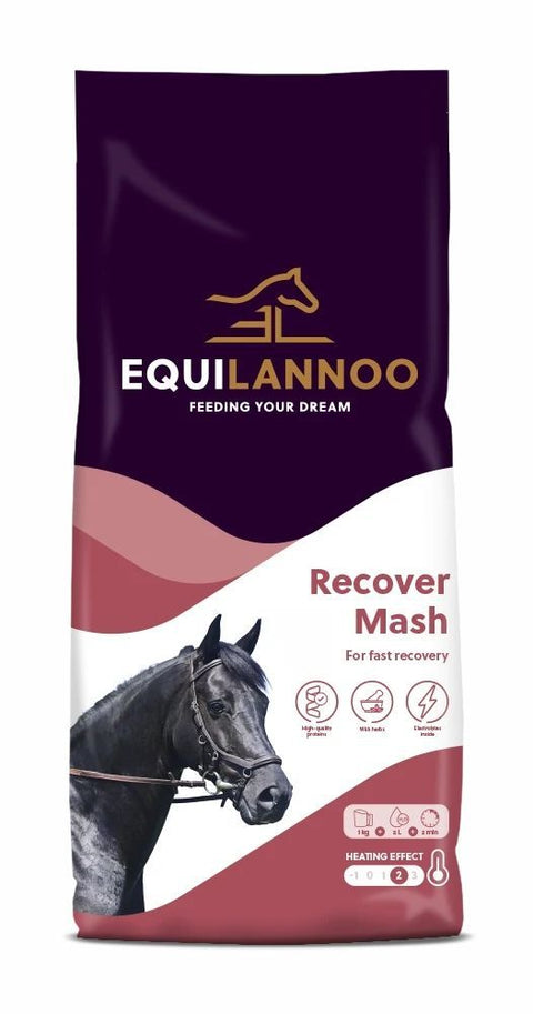 Equilannoo_-_Recover_Mash