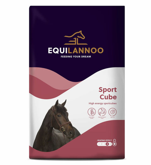 Equilannoo_-_Sport_Cube