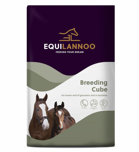 Equilannoo_Breeding_Cube