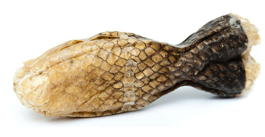 Hautlachs_Fischform