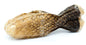 Hautlachs_Fischform