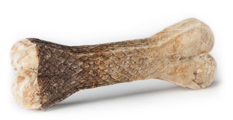 Hautlachs_Knochen