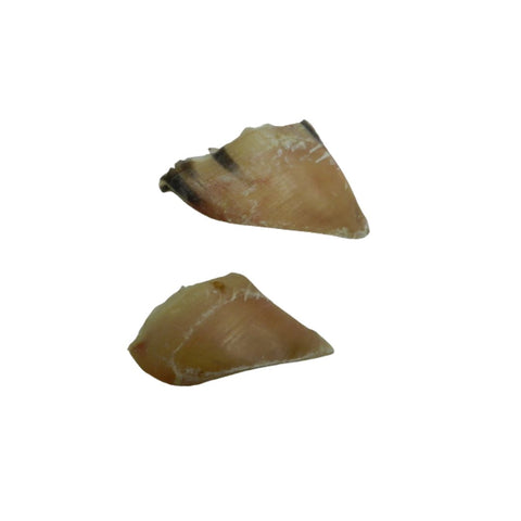 Kauhufe