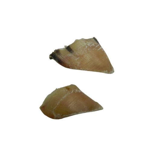 Kauhufe