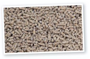 Legepellets