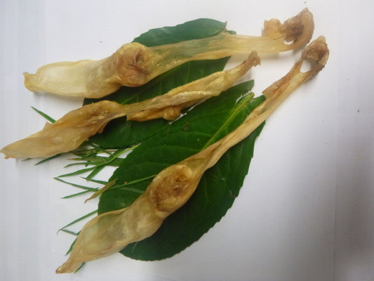 P1160504