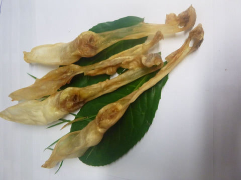 P1160505