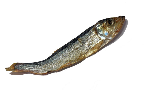 Sprotten