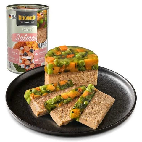 bb-ho-salmon-foodcomp_800x800